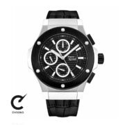 ساعت مچی پیر ریکود مدل P97035.B214QF