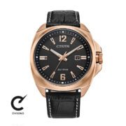 ساعت مچی سیتیزن مدل AW1723-02E