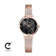 ساعت مچی پیر ریکود مدل P22043.914EQ