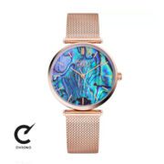 ساعت مچی پیر ریکود مدل P22096.911AQ