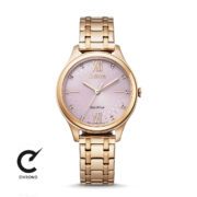 ساعت مچی سیتیزن مدل EM0503-75X